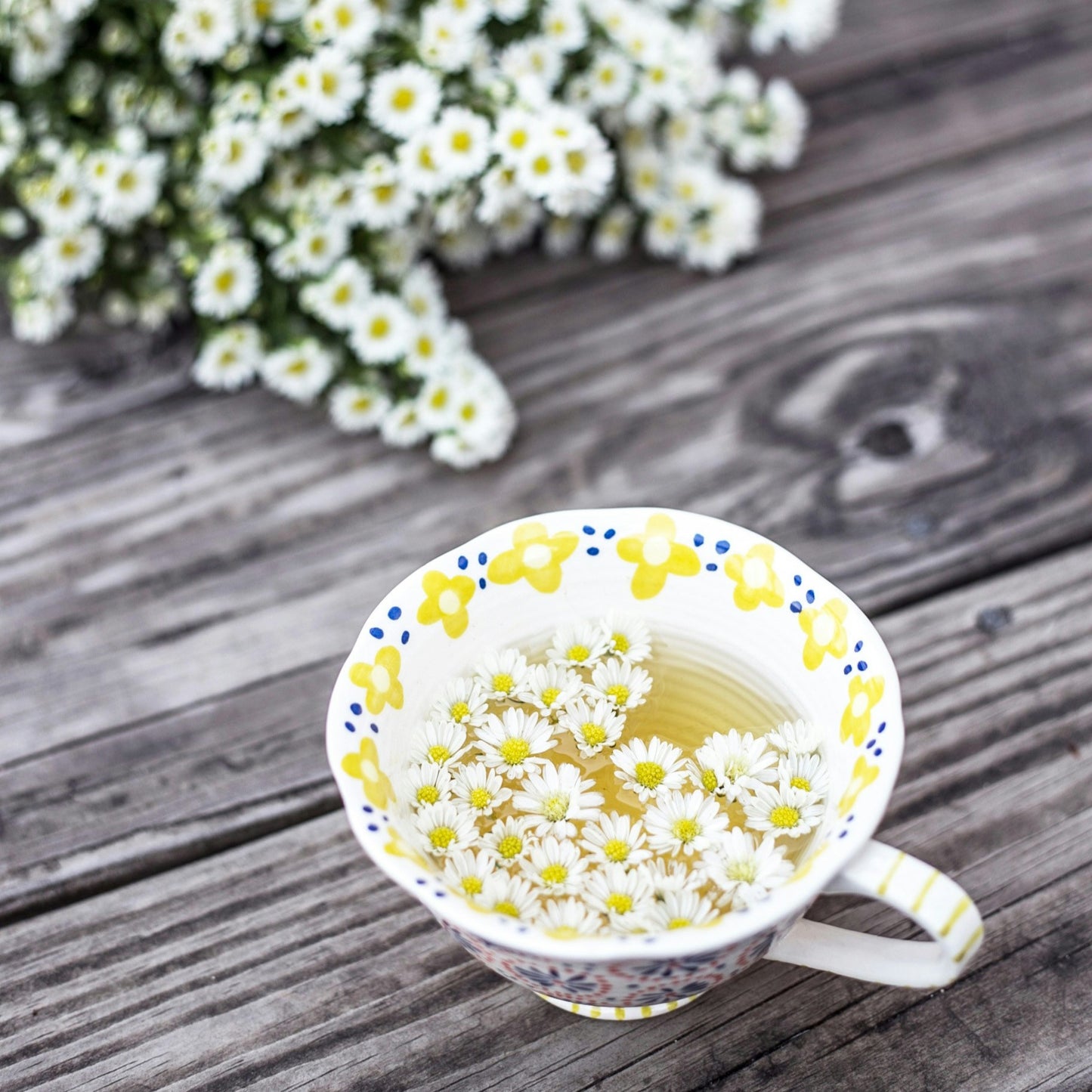 Charleston Tea Garden *Seasonal*
