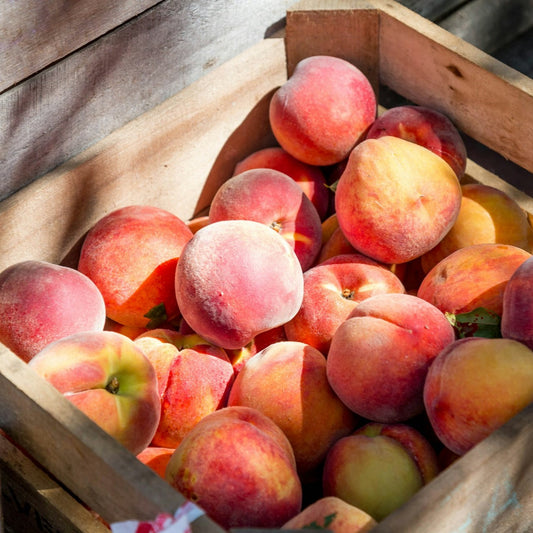 Georgia Peaches **