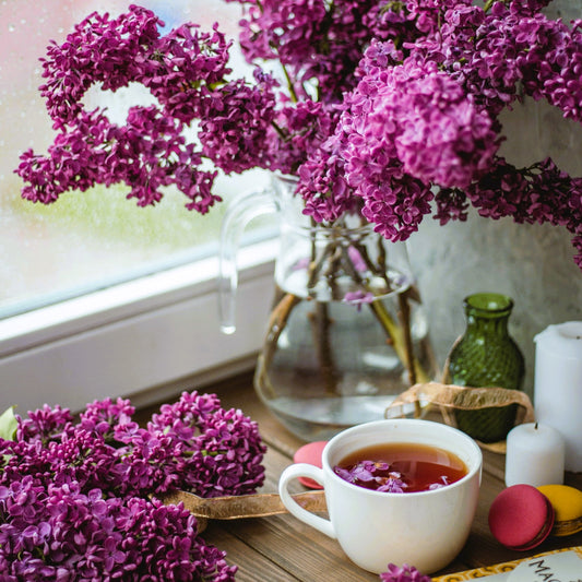 Lovely Lilac **