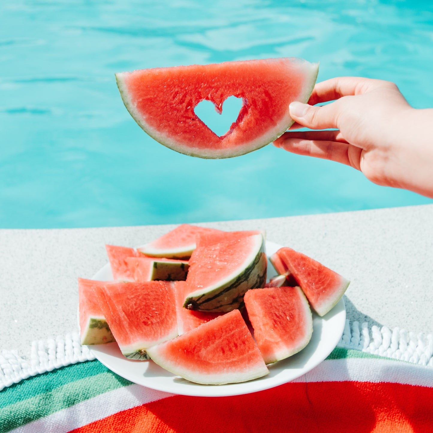 Watermelon Picnic *Summer*