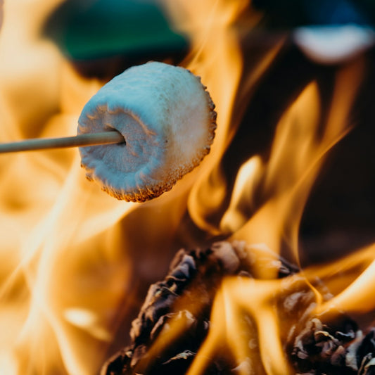 Toasted Marshmallow *Fall*