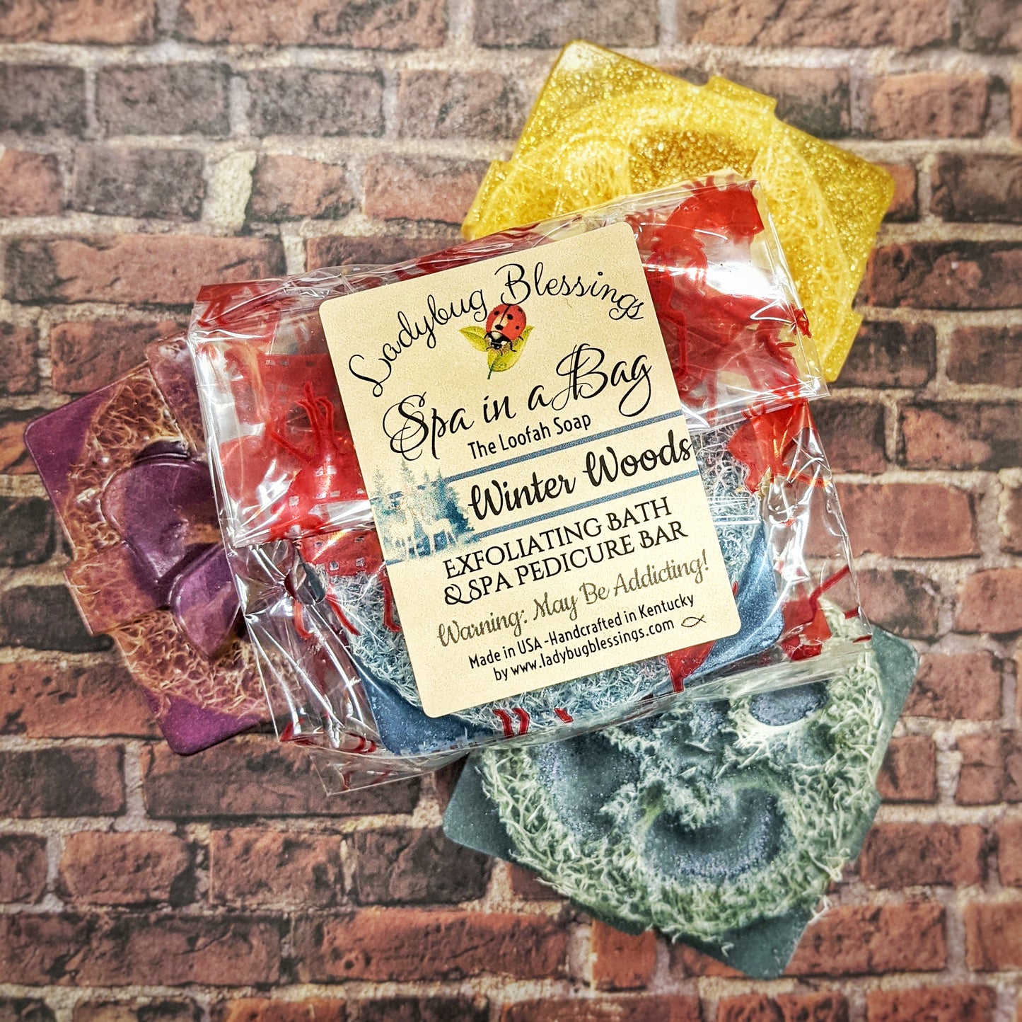 Holiday Shapes Medium Loofah Soaps