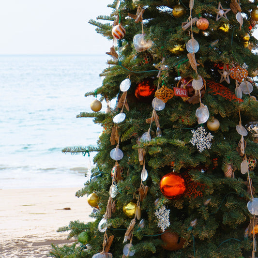 Christmas on the Beach *Holiday*