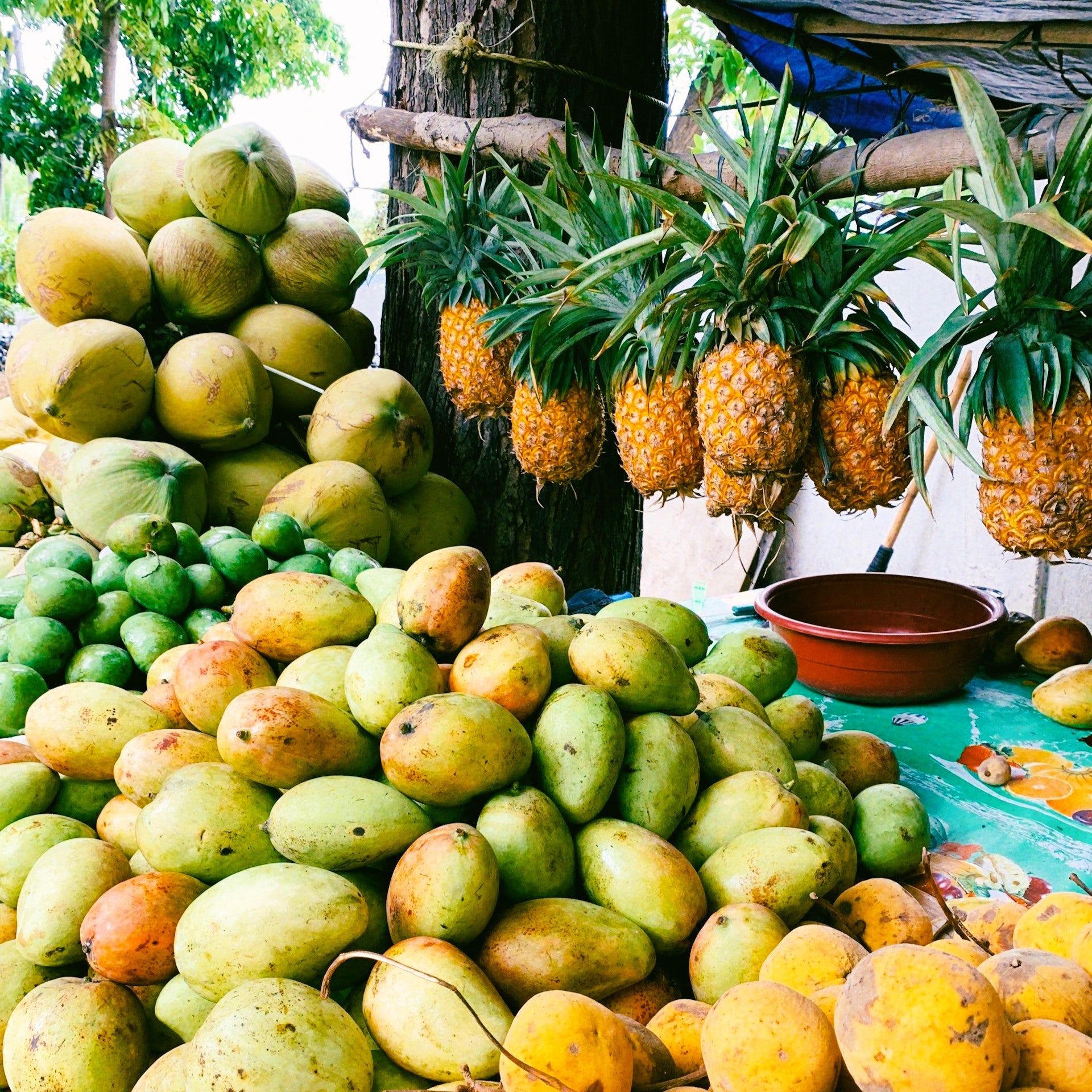 Mango Papaya ** – Ladybug Blessings