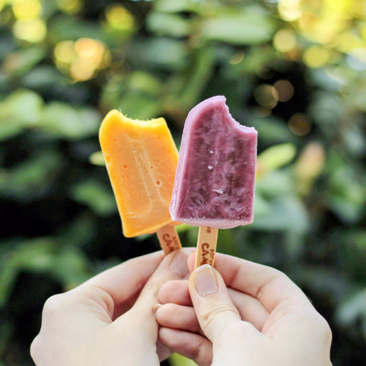 Natural Lip Balm // Seasonal Limited Edition Flavors!