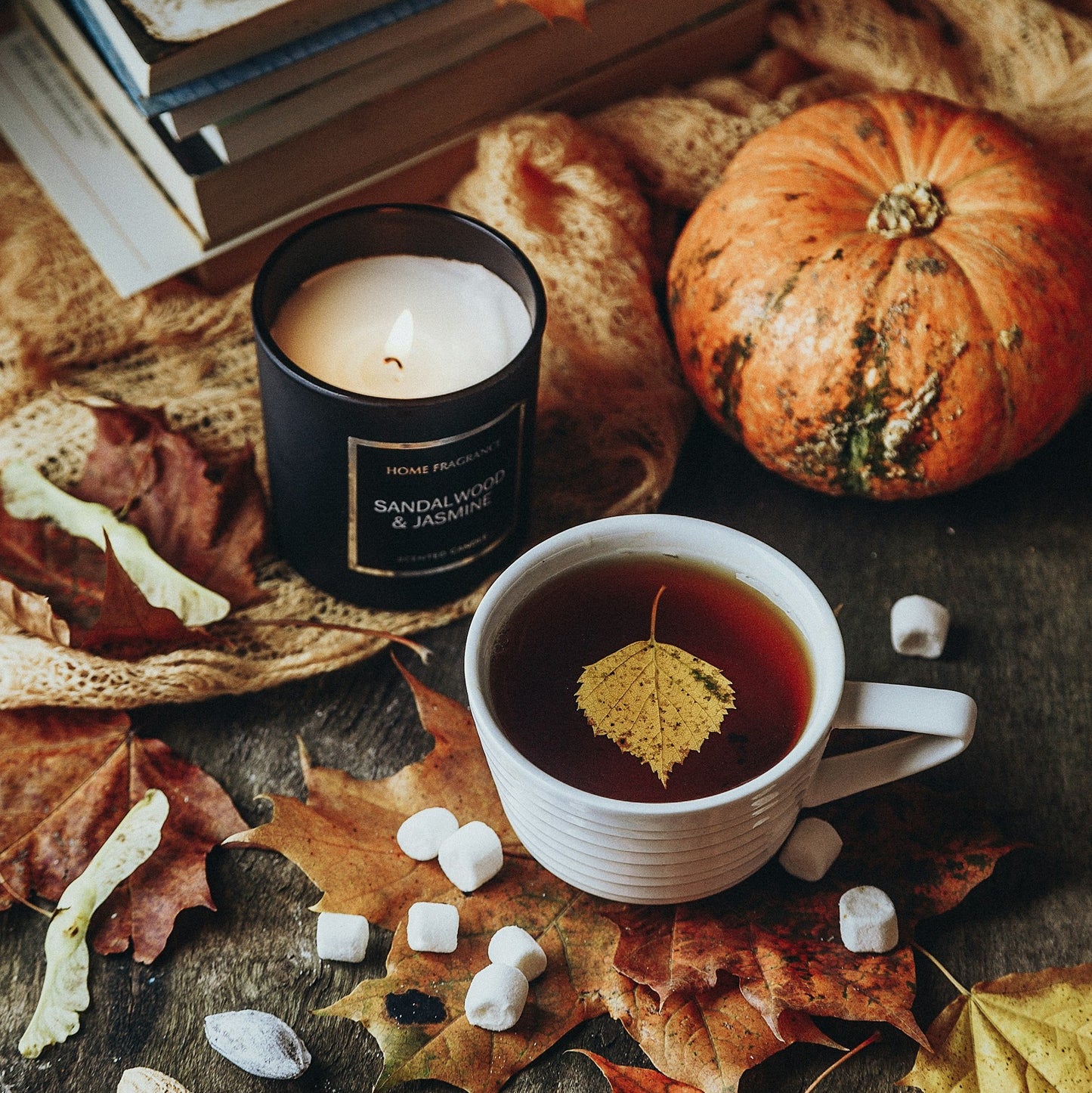 Autumn Vibes *NEW Fall*