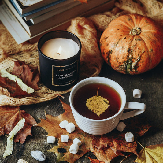Autumn Vibes *New Fall*