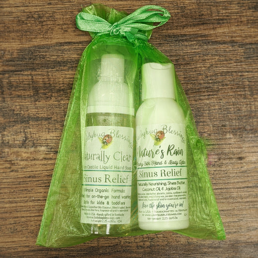 Foaming Travel Soap & Silk Lotion Gift Set