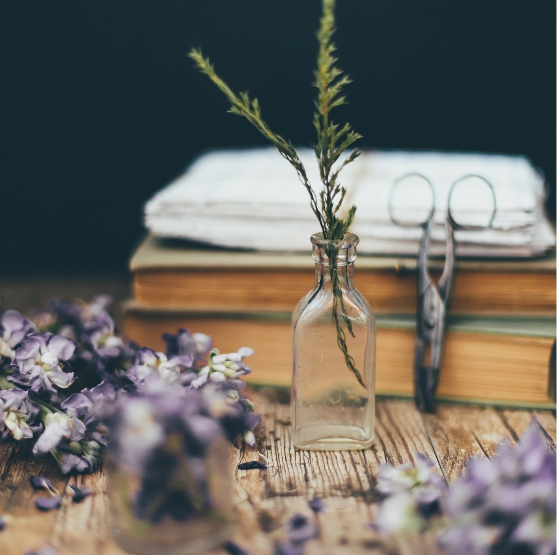 Lavender & Patchouli